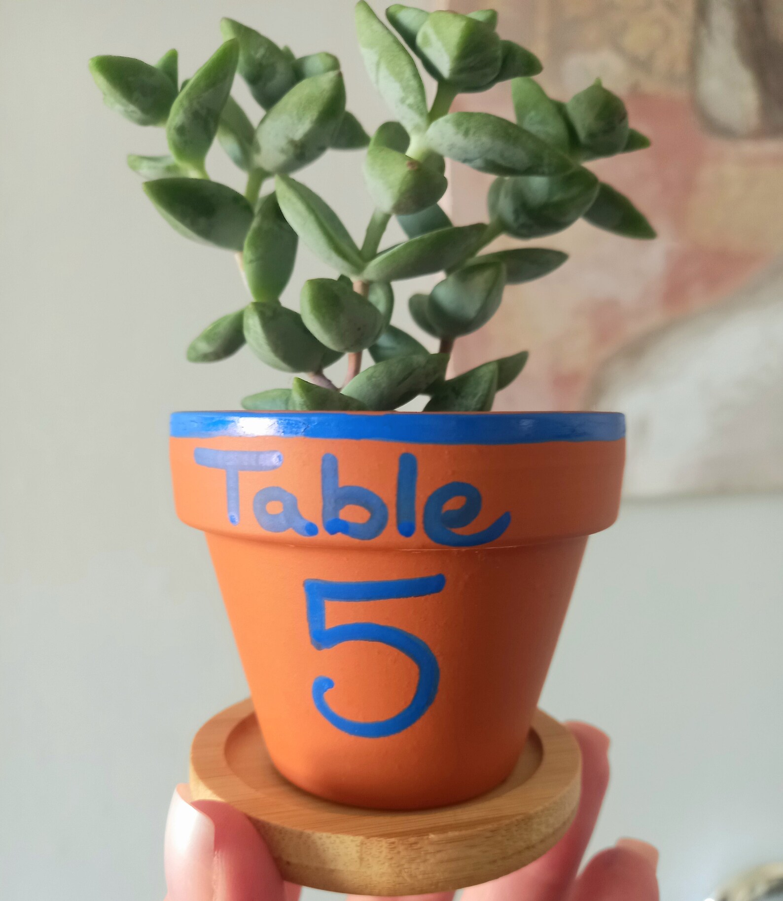 Table number pots with live plants Etsy