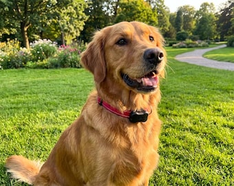 FitBark Health Fastener Clip - Never Zip Tie Again! Matte Black