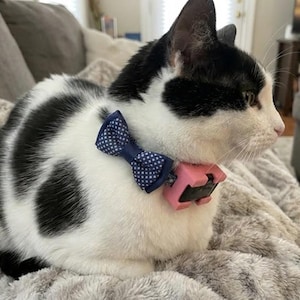 Fi Mini Fastener for Collars | GPS Cat Tracker and Small Dog Adapter