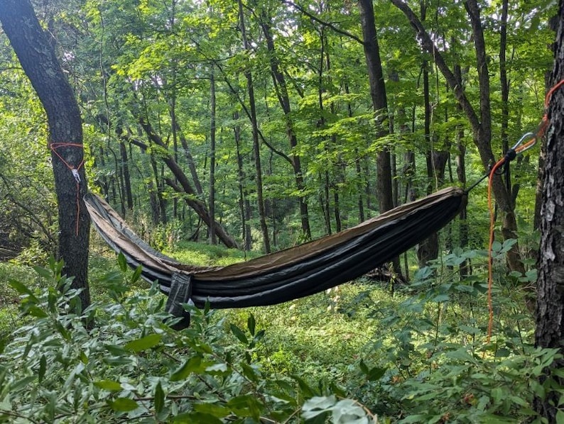 May include: A black hammock is strung between two trees in a woodland. The hammock is made of woven fabric and has a dark green and black pattern. The trees are tall and have green leaves. The hammock is hanging low to the ground.
