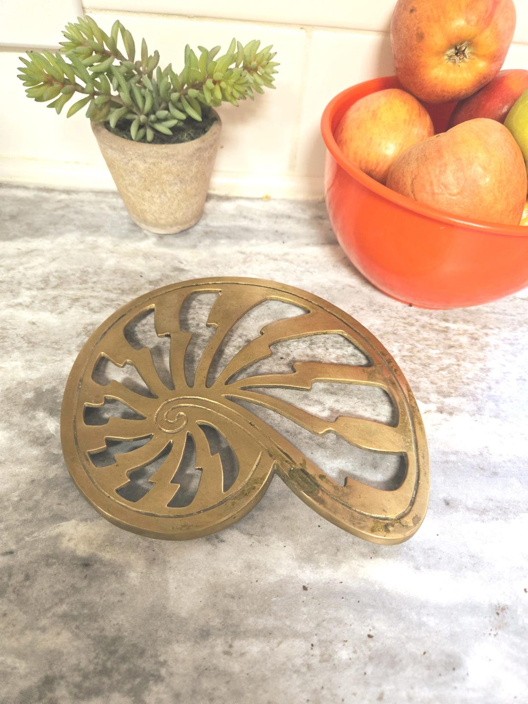 Vtg Brass Nautilus Sea Shell Trivet by Omnibus - Etsy