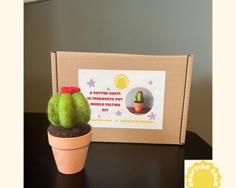 Needle Felted Cactus Craft Kit | DIY Terracotta Pot, Beginner Friendly