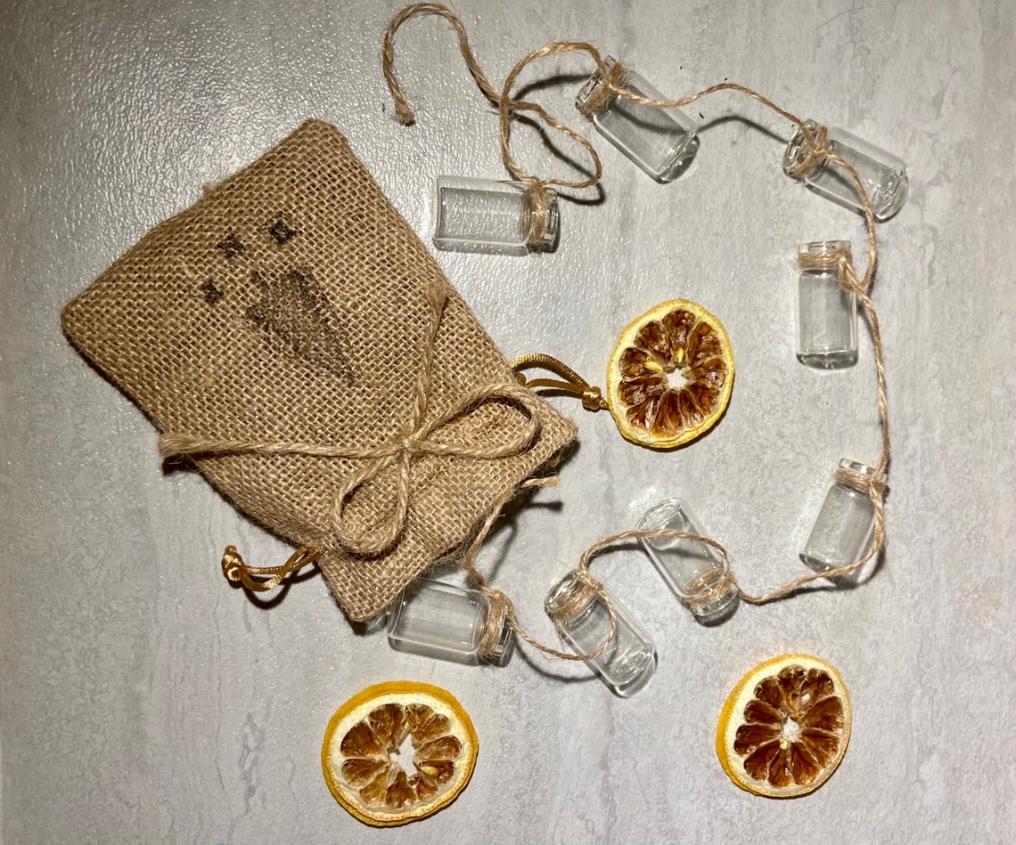 Itty Bitty Prop Jars propagation jars small hanging jars Etsy