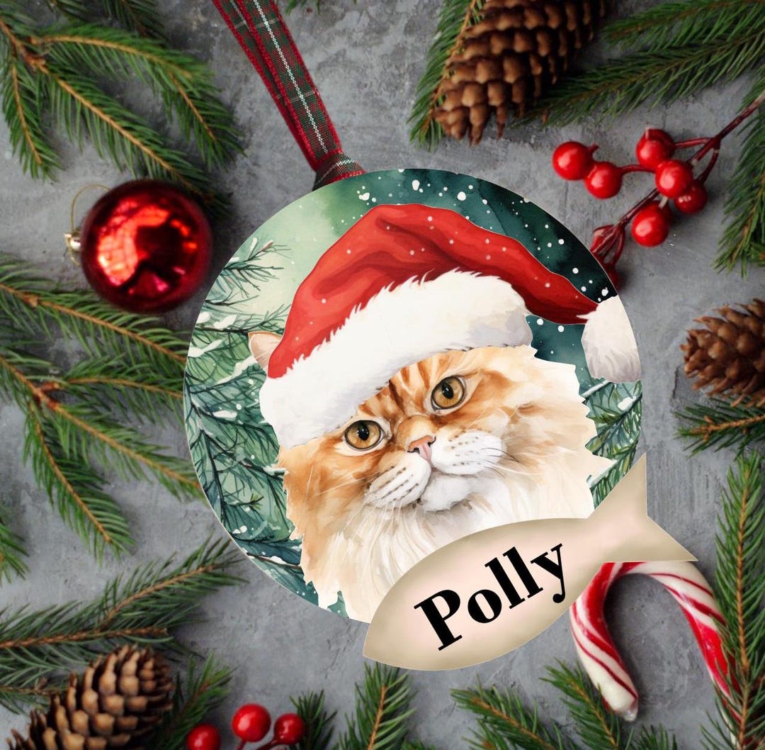 Personalised Persian Pet Cat Acrylic Christmas Hanging Ornament Bauble ...