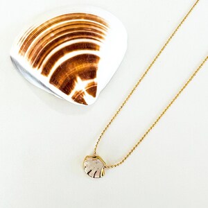 Winzige Muschel Minimalist Halskette, Handgemachter Strand Schmuck, Muschel Anhänger, Kostenloser Versand