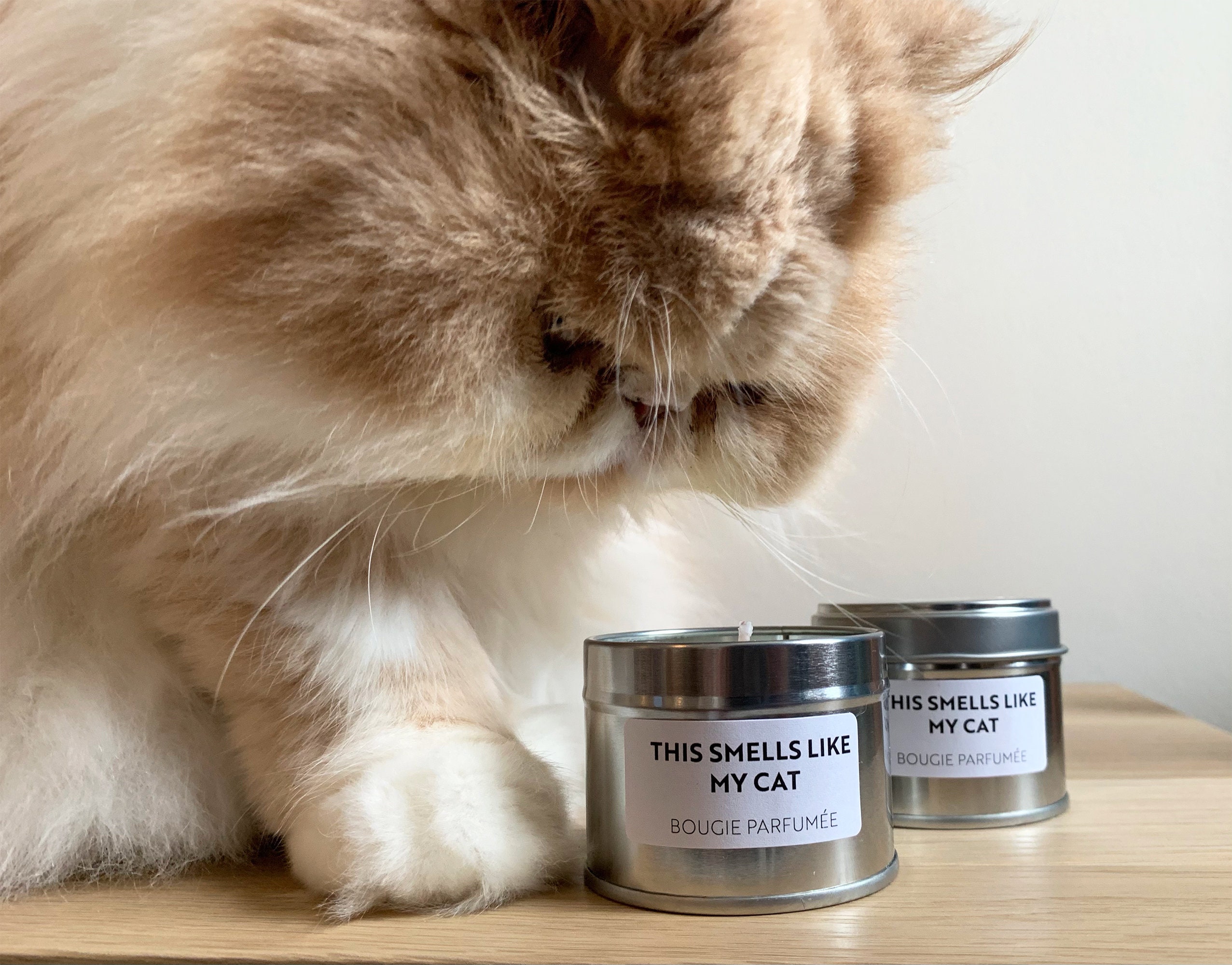 This smells like my cat candle Etsy