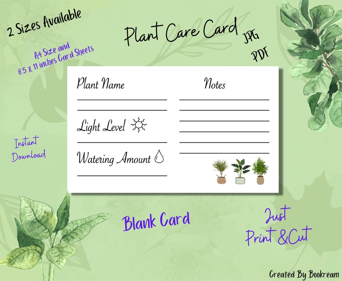 indoor-plant-care-tips-for-beginners-free-plant-care-card-plant