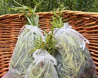 Pure Rosemary Herbal Sachets (Bag of 2)