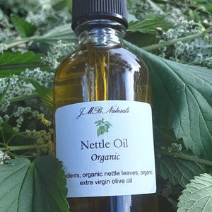Organic Nettle Oil| Natural Skincare (2oz/4oz glass bottles)
