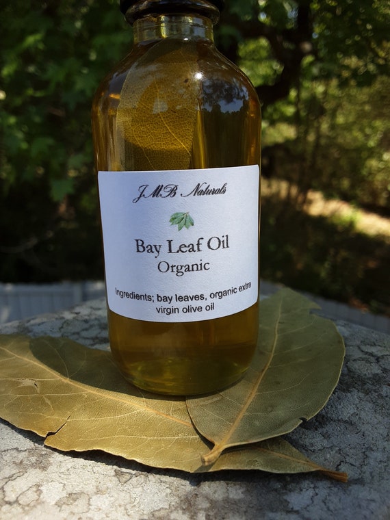 Pure Organic Bay Leaf Oil Hair Tonic Bay Leaf Infused - Etsy