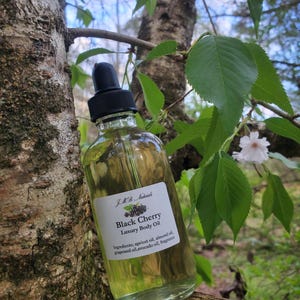 Op de afbeelding: Een heldere glazen fles Black Cherry Luxury Body Oil met een zwarte druppelaar. Het etiket vermeldt ingredi&euml;nten zoals abrikozen- en amandelolie. De fles staat voor een boomstam en takken met groene bladeren.