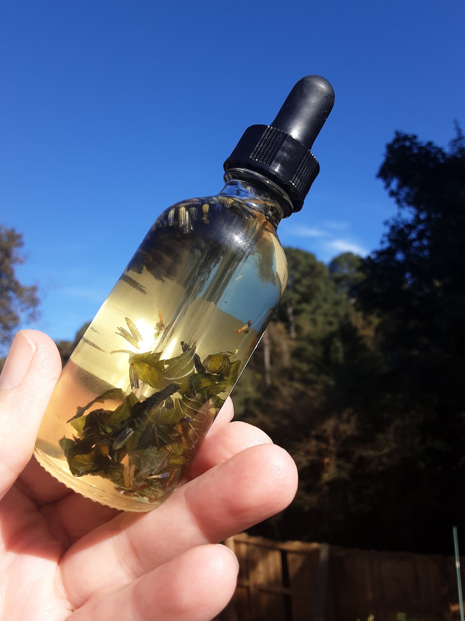 Natural Peppermint & Lavender Body Oil Infused Body Oil Etsy