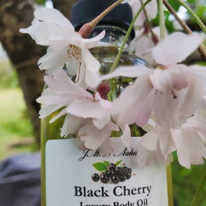 Op de afbeelding: Een heldere glazen fles Black Cherry Luxury Body Oil met een zwarte druppelaar. Het etiket toont een illustratie van zwarte kersen en tekst. Witte en roze kersenbloesems omlijsten de fles.