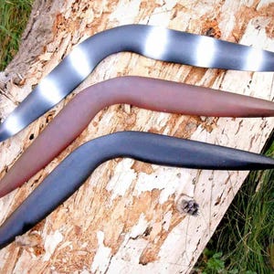 The Stinger Hunting Boomerang