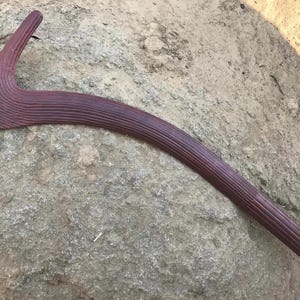 The Wirlki Figure 7/Swan Neck Hunting Boomerang