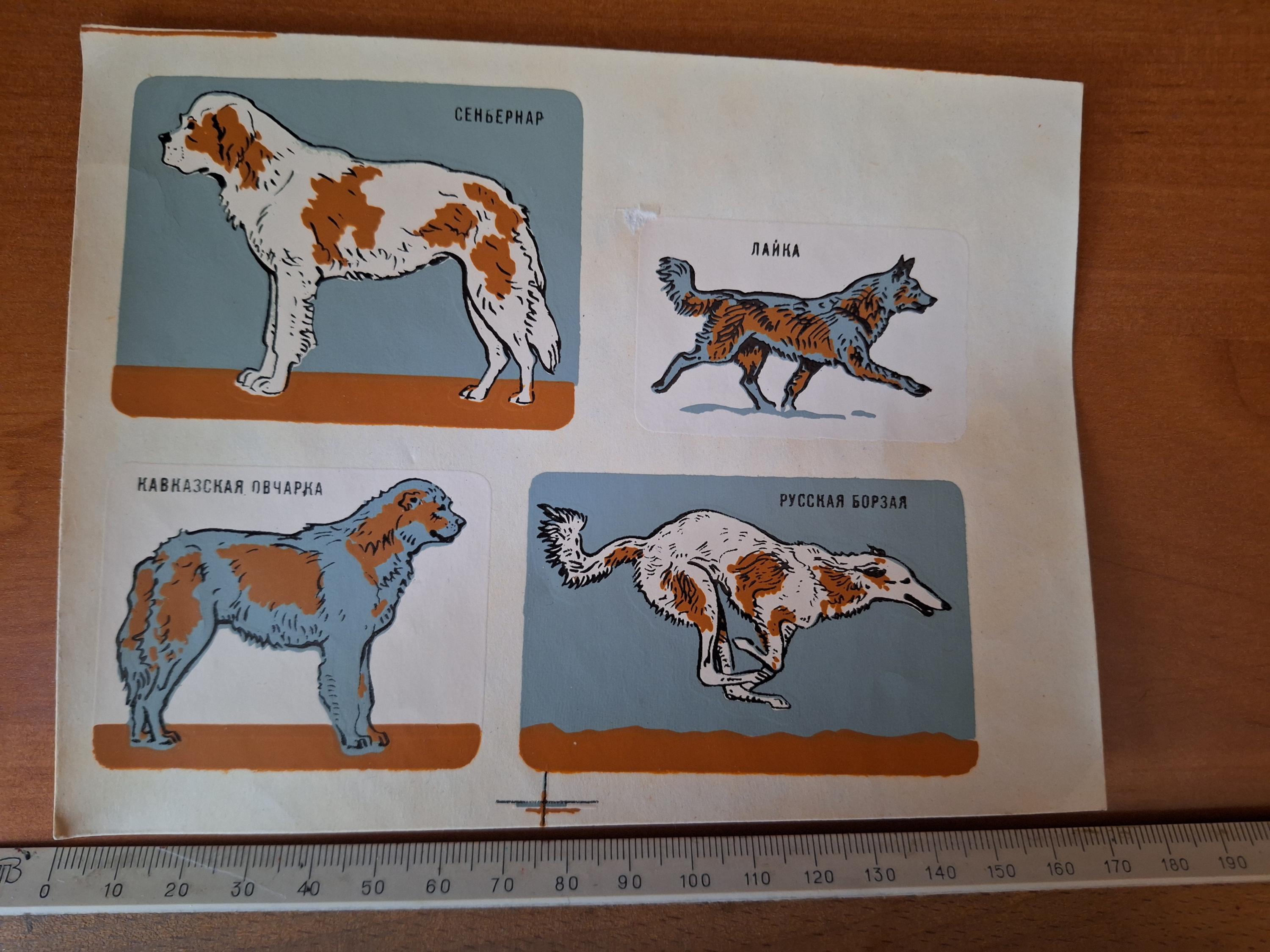 Dogs Breeds Soviet Retro Decals Transfer Stickers, USSR Kids Stickers