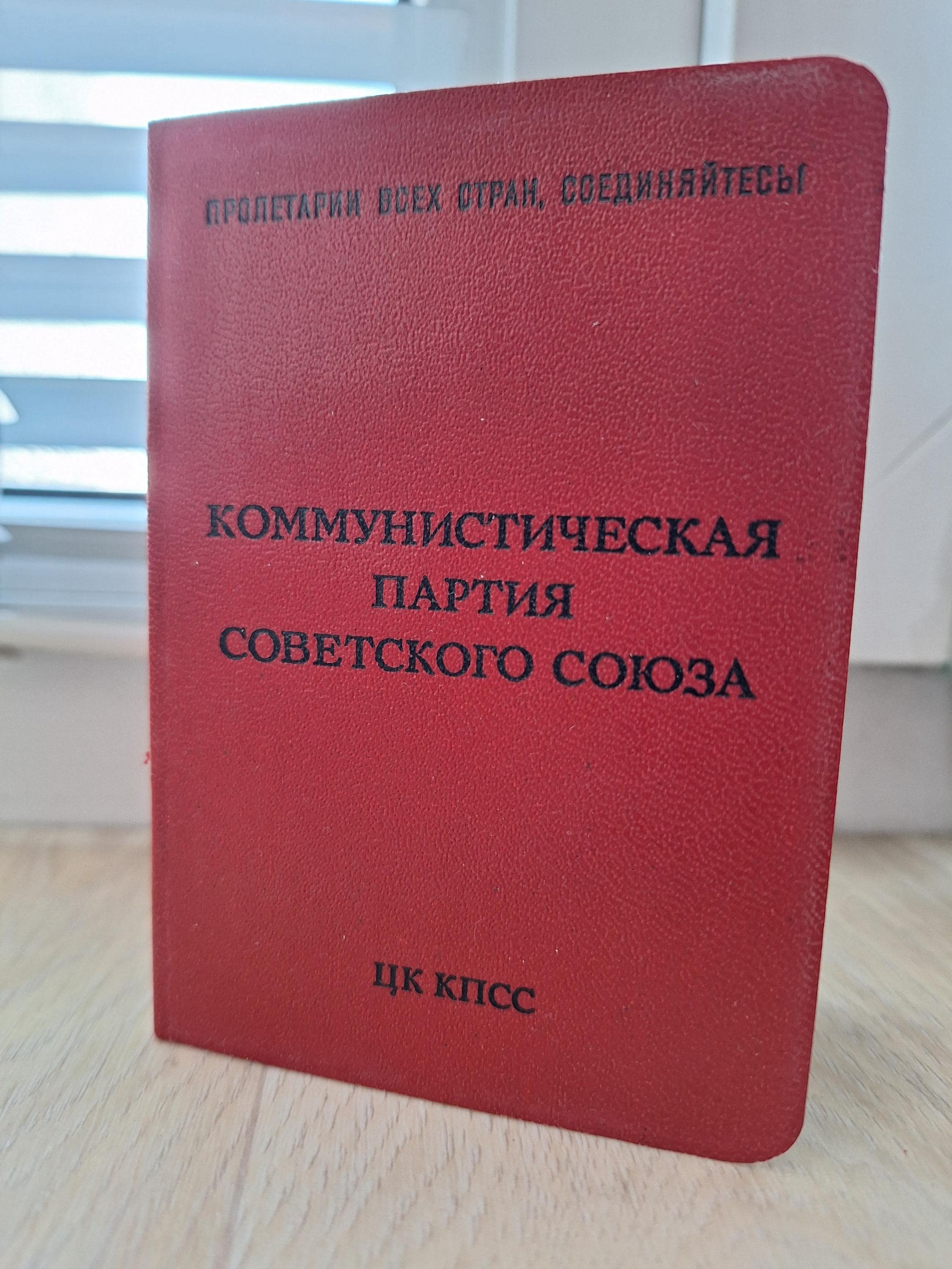 il_fullxfull.7957578850_2lct.jpg