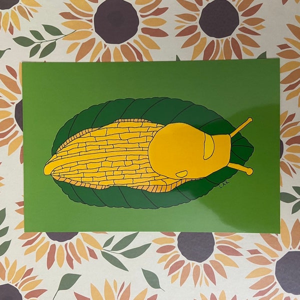 Banana Slug Print