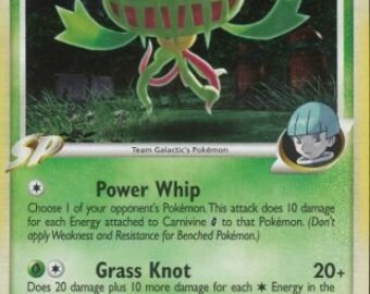 Carnivine Etsy Carnivine Etsy