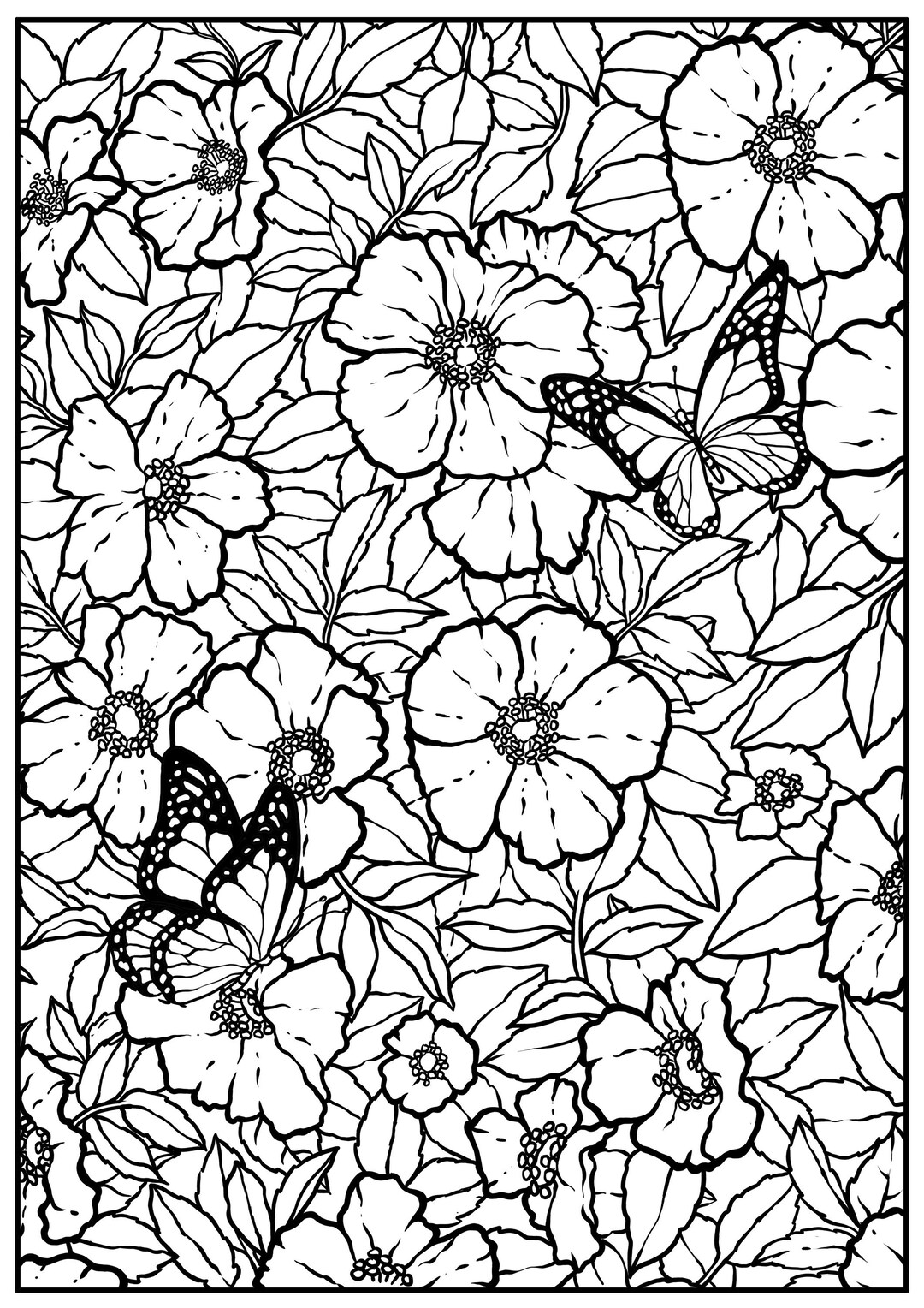 Coloring Books, Coloring Pages, Drawings - Etsy