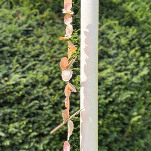 Shell wind chimes