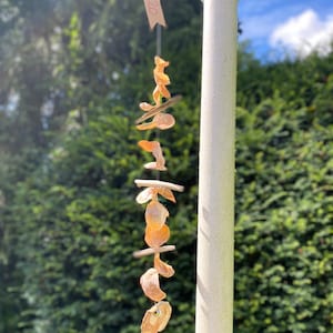 Shell wind chimes
