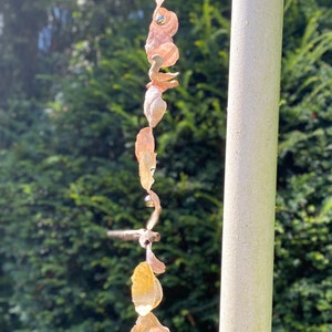 Shell wind chimes