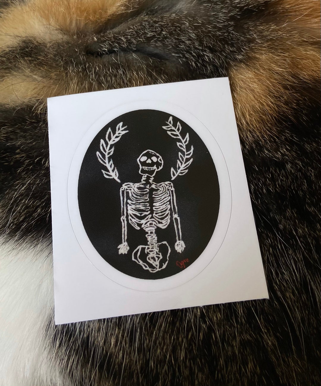 Skeleton Shells Sticker Skeleton Sticker - Etsy