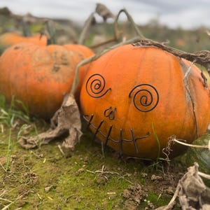 Wire pumpkin decorations image 7