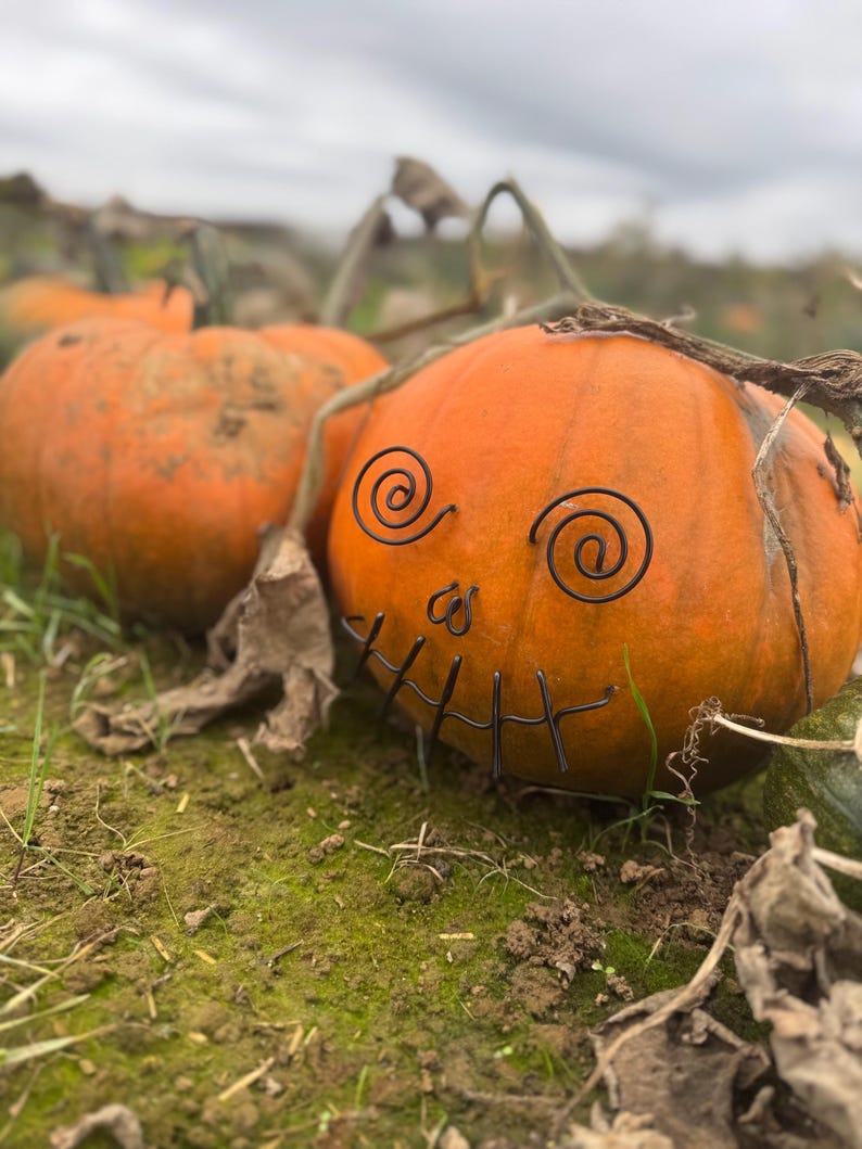 Wire pumpkin decorations image 7