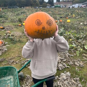 Wire pumpkin decorations image 6