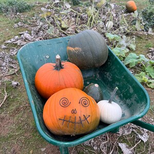 Wire pumpkin decorations image 3