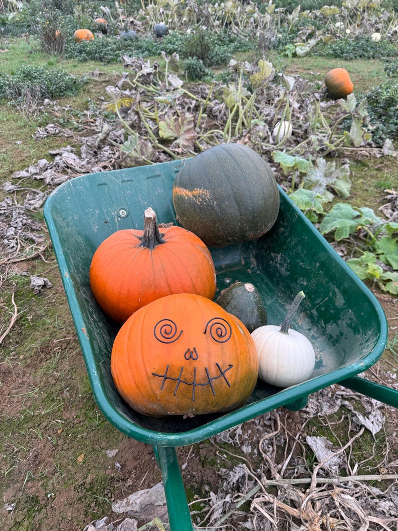 Wire pumpkin decorations image 3