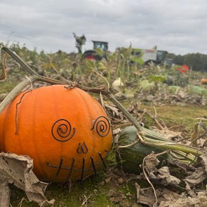 Wire pumpkin decorations image 9