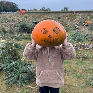 Wire pumpkin decorations image 2