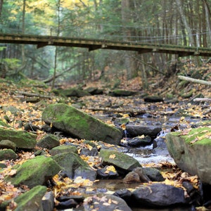 Stream, Mountain ,Photograph, trees, water, Forest, Rocks, Bridge,  Pennsylvania, Suspension , Cable, Print, Spring, Art, Hiking, woods