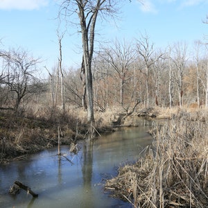 Landschaftsfotografie, Landschaftsbild, Landschaftsfoto, Wandkunst, Februar in Pennsylvania, Wohnkultur