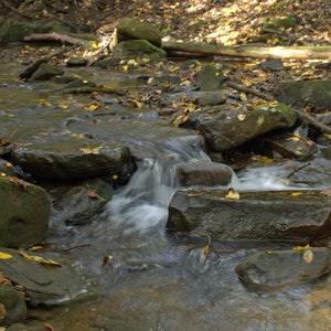 Stream, Creek, Mountain,Forest, Photograph, Water, Trees, Woods,  Small , Photos, art,  Waterfall, Pennsylvania, Cable, Bridge, Suspension