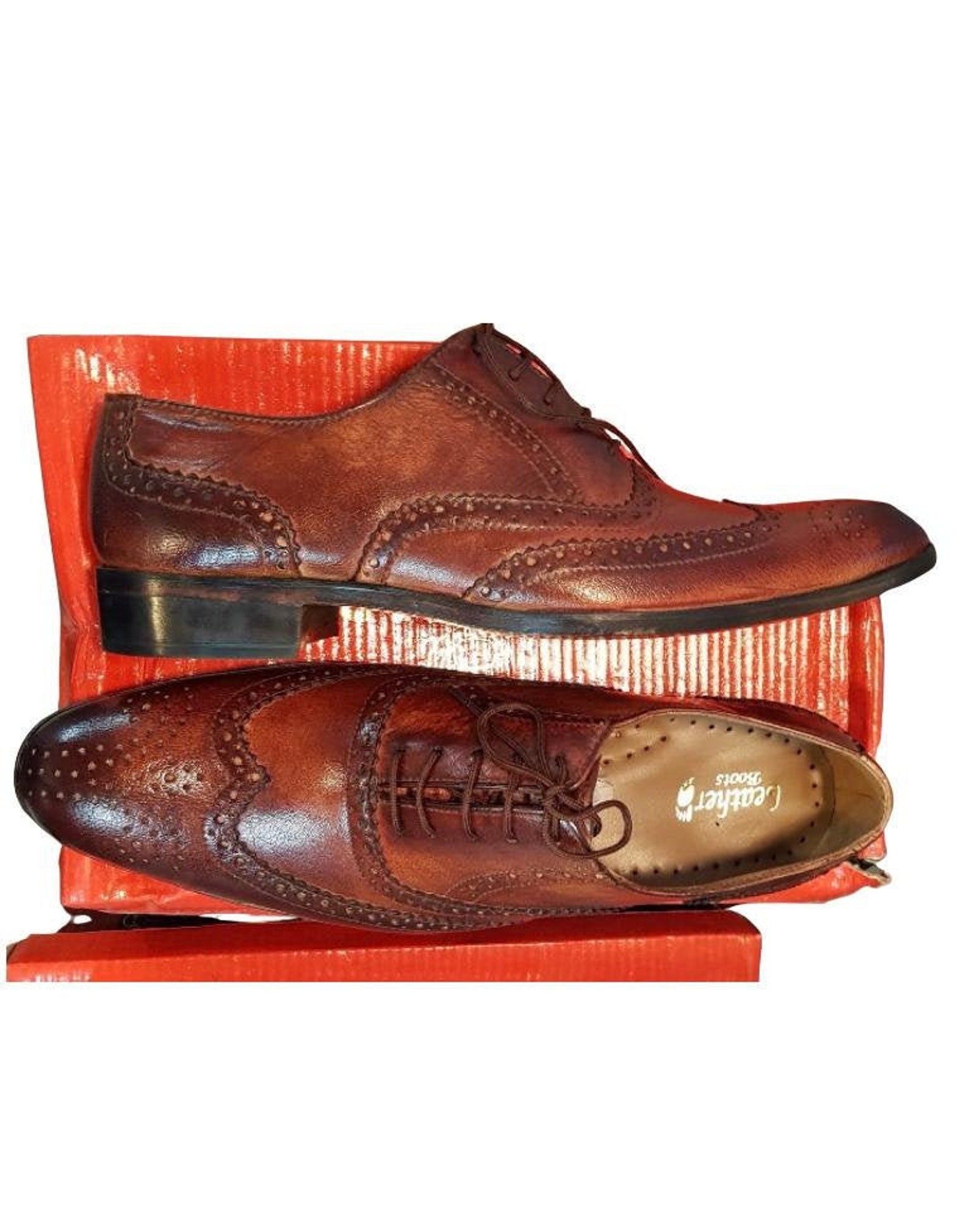 dark brown wingtip