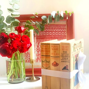 Charming Antique Book Set- Mary Ware/Little Colonel Book Set- Bookshelf Decor- Books by Color Shelf Filler-Vintage Home Decor- Wedding Decor