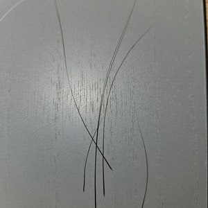 Real cat whiskers