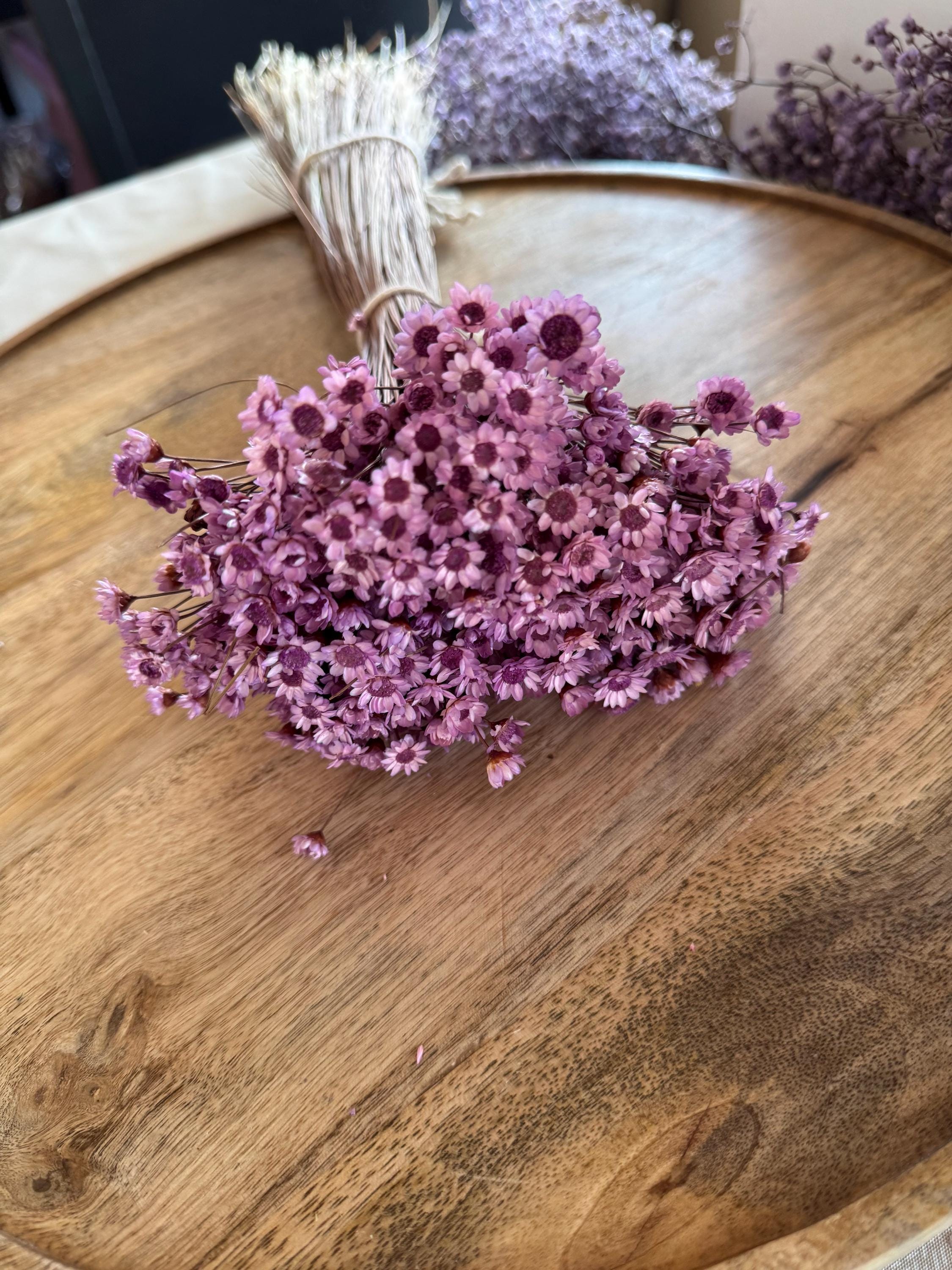 Glixia Dried Flowers | Dried Flowers Bouquet | Dried Flower Decoration |  Flower Decoration DIY Flower Set | Dried Flowers - Etsy Israel