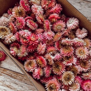 Streudeko Blumen Trockenblumen Tischdeko Streudeko für Hochzeit Geburtstag Tischdekoration Bild 6