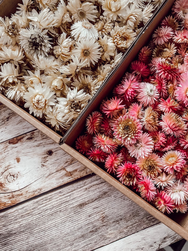 Streudeko Blumen Trockenblumen Tischdeko Streudeko für Hochzeit Geburtstag Tischdekoration Bild 1