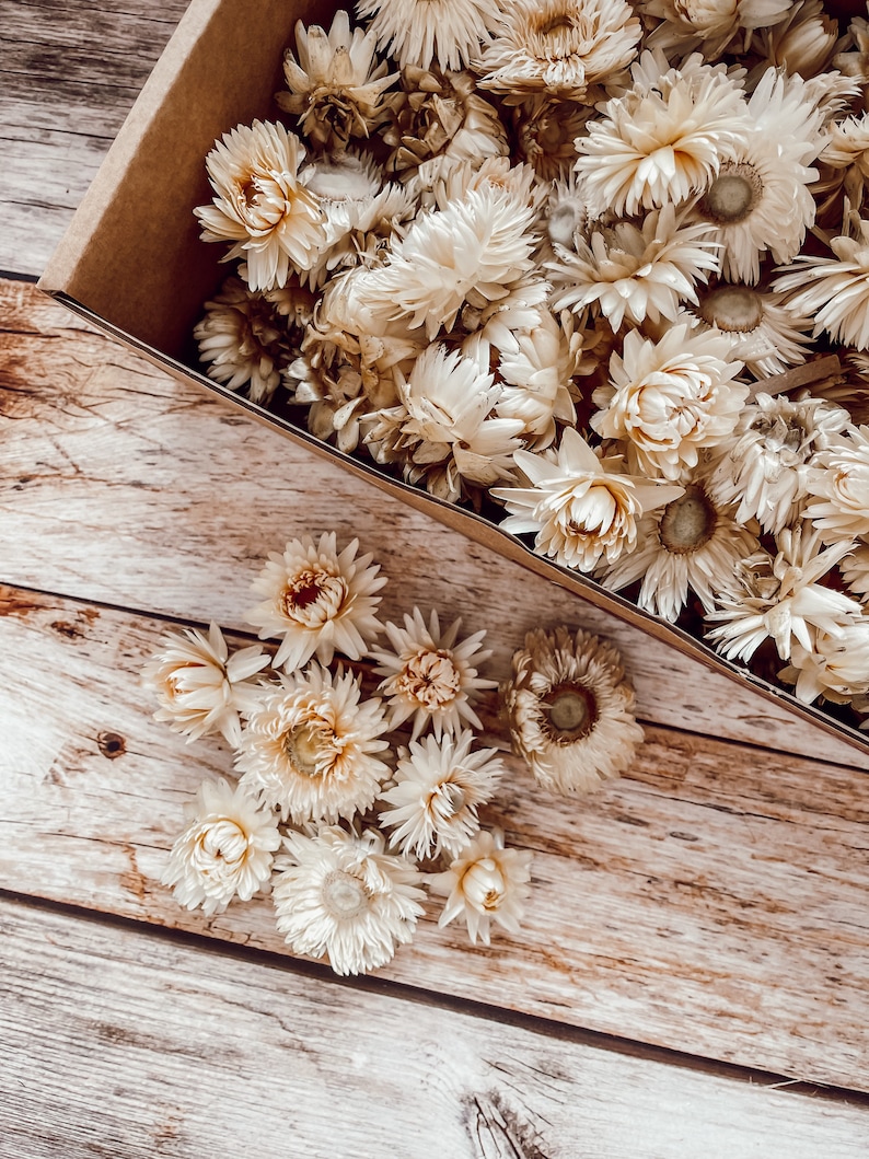 Streudeko Blumen Trockenblumen Tischdeko Streudeko für Hochzeit Geburtstag Tischdekoration Bild 9