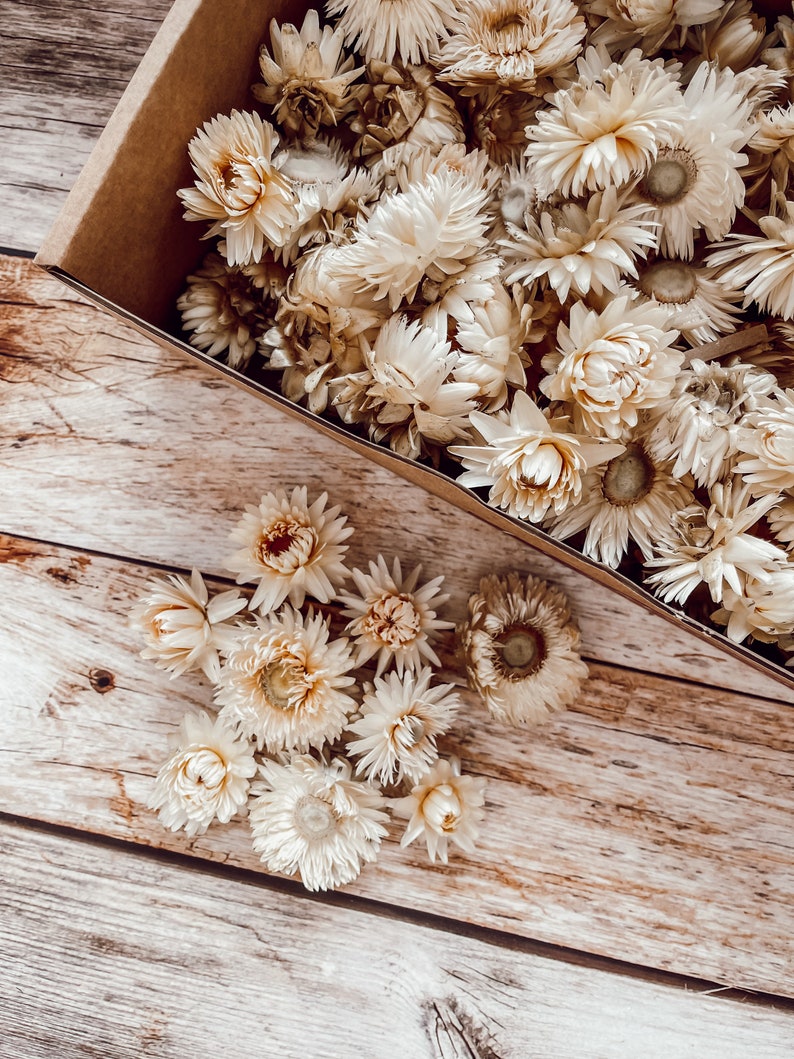 Streudeko Blumen Trockenblumen Tischdeko Streudeko für Hochzeit Geburtstag Tischdekoration Bild 5