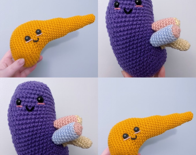 CROCHET ORGANS Pancreas & Kidney Handmade Amigurumi Plushies—med ...