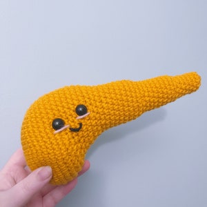 CROCHET ORGANS Pancreas & Kidney Handmade Amigurumi Plushiesmed ...