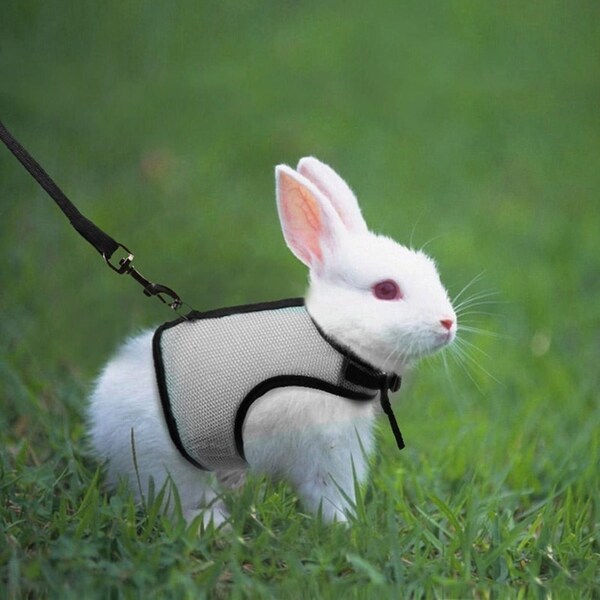 Rabbit Harness Etsy