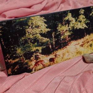 Guntersville Deer Card